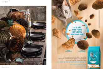 Better Homes & Gardens October 2016 Magazine Article: Page 66