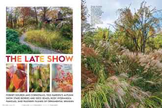 Better Homes & Gardens October 2016 Magazine Article: THE LATE SHOW