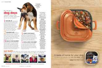 Better Homes & Gardens October 2016 Magazine Article: Page 166