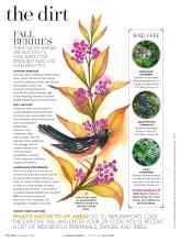 Better Homes & Gardens November 2016 Magazine Article: FALL BERRIES