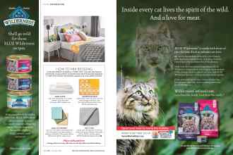 Better Homes & Gardens November 2016 Magazine Article: Page 42