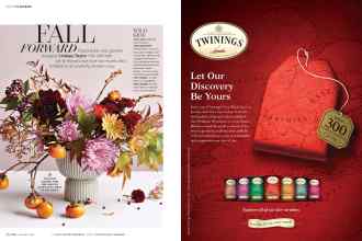 Better Homes & Gardens November 2016 Magazine Article: Page 48