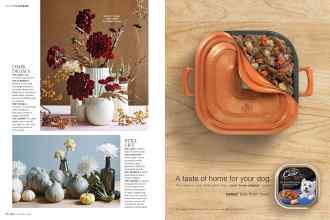 Better Homes & Gardens November 2016 Magazine Article: Page 50