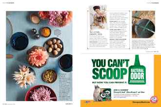 Better Homes & Gardens November 2016 Magazine Article: Page 52