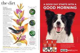 Better Homes & Gardens November 2016 Magazine Article: Page 68