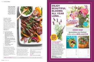 Better Homes & Gardens November 2016 Magazine Article: Page 98