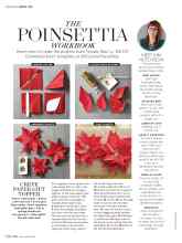 Better Homes & Gardens December 2016 Magazine Article: THE POINSETTIA WORKBOOK