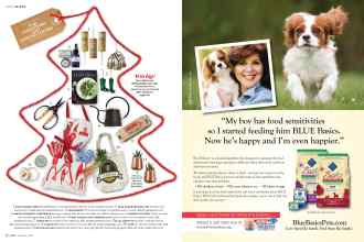 Better Homes & Gardens December 2016 Magazine Article: Page 16