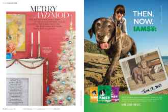 Better Homes & Gardens December 2016 Magazine Article: Page 56