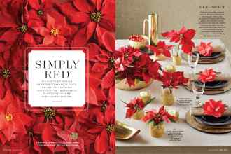 Better Homes & Gardens December 2016 Magazine Article: SIMPLY RED