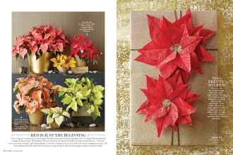 Better Homes & Gardens December 2016 Magazine Article: Page 104