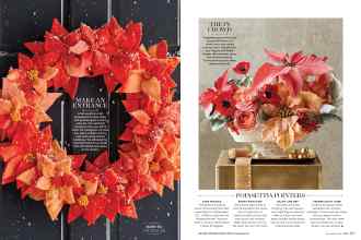 Better Homes & Gardens December 2016 Magazine Article: Page 106