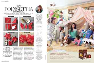 Better Homes & Gardens December 2016 Magazine Article: Page 136