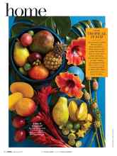 Better Homes & Gardens February 2017 Magazine Article: TROPICAL PUNCH