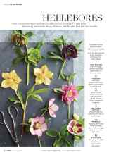 Better Homes & Gardens February 2017 Magazine Article: HELLEBORES