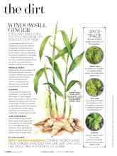 Better Homes & Gardens February 2017 Magazine Article: WINDOWSILL GINGER