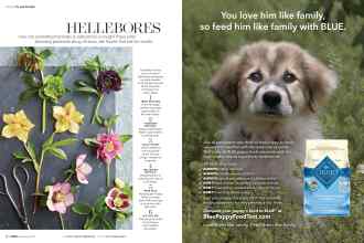 Better Homes & Gardens February 2017 Magazine Article: Page 64