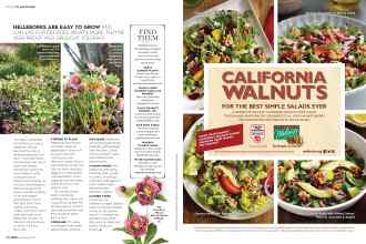 Better Homes & Gardens February 2017 Magazine Article: Page 66