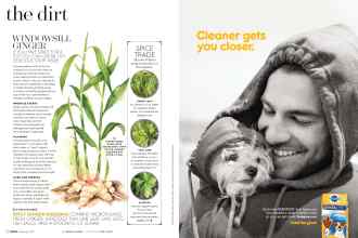 Better Homes & Gardens February 2017 Magazine Article: Page 72