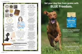 Better Homes & Gardens March 2017 Magazine Article: Page 66