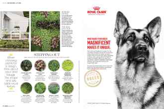 Better Homes & Gardens March 2017 Magazine Article: Page 86