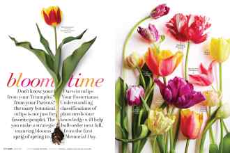 Better Homes & Gardens March 2017 Magazine Article: Bloom time