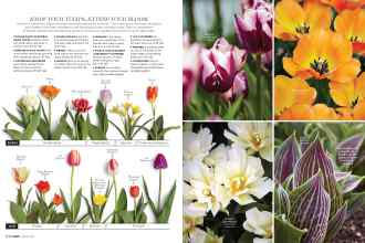 Better Homes & Gardens March 2017 Magazine Article: Page 108