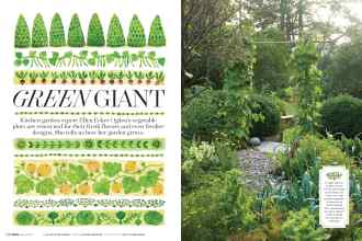Better Homes & Gardens March 2017 Magazine Article: GREEN GIANT