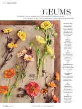 Better Homes & Gardens April 2017 Magazine Article: GEUMS