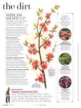 Better Homes & Gardens April 2017 Magazine Article: SHRUBS SHAPE-UP