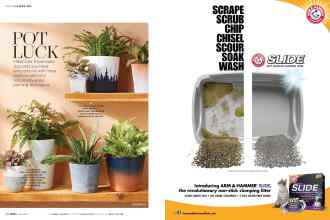 Better Homes & Gardens April 2017 Magazine Article: Page 46