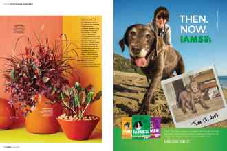 Better Homes & Gardens April 2017 Magazine Article: Page 58