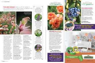 Better Homes & Gardens April 2017 Magazine Article: Page 76