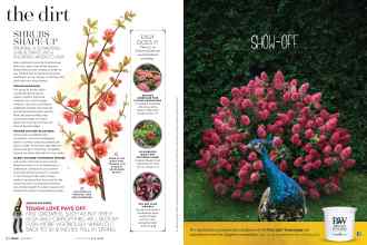 Better Homes & Gardens April 2017 Magazine Article: Page 82