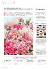 Better Homes & Gardens May 2017 Magazine Article: SUMMER MAGIC ROSELILY MIX