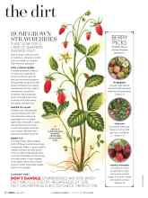 Better Homes & Gardens May 2017 Magazine Article: HOMEGROWN STRAWBERRIES