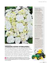 Better Homes & Gardens May 2017 Magazine Article: WEDDING GOWN HYDRANGEA