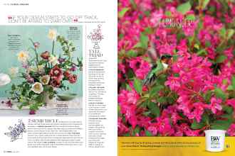 Better Homes & Gardens May 2017 Magazine Article: Page 82