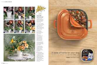 Better Homes & Gardens May 2017 Magazine Article: Page 84