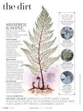 Better Homes & Gardens June 2017 Magazine Article: SHIMMER & SHINE