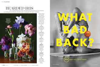 Better Homes & Gardens June 2017 Magazine Article: Page 72