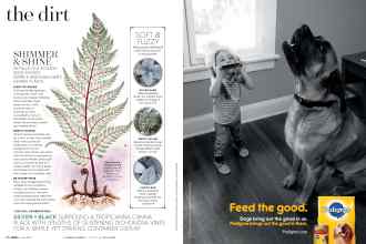 Better Homes & Gardens June 2017 Magazine Article: Page 90