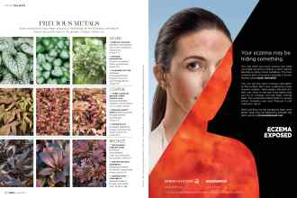 Better Homes & Gardens June 2017 Magazine Article: Page 92