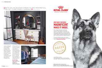 Better Homes & Gardens July 2017 Magazine Article: Page 36