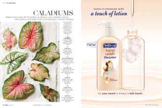 Better Homes & Gardens July 2017 Magazine Article: Page 86