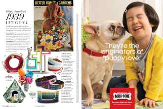 Better Homes & Gardens August 2017 Magazine Article: Page 184
