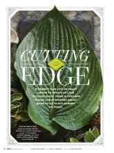 Better Homes & Gardens September 2017 Magazine Article: CUTTING EDGE GUIDE TO GARDEN STYLE