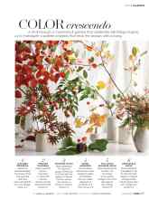 Better Homes & Gardens October 2017 Magazine Article: COLOR crescendo