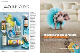 Better Homes & Gardens October 2017 Magazine Article: Page 50