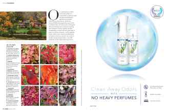 Better Homes & Gardens October 2017 Magazine Article: Page 96